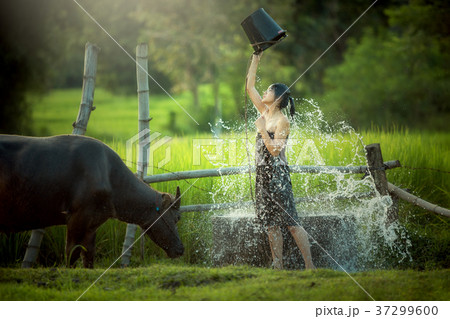 Thailand The beautiful women and buffalo 37299600