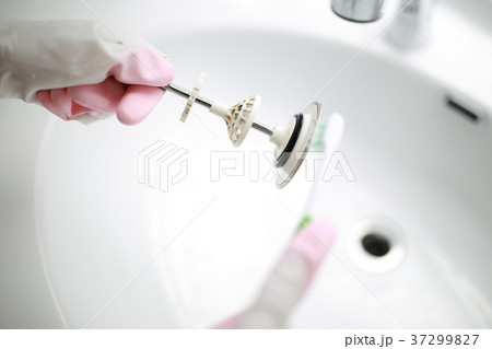 掃除 (洗面所 シンク 綺麗 清潔 清掃 家事 主婦 水回り 顔なし 歯ブラシ 女性 ボディパーツ) 掃除 (洗面所 シンク 綺麗 清潔 清掃 家事 主婦 水回り 顔なし 歯ブラシ 女性 ボディパーツ) 37299827