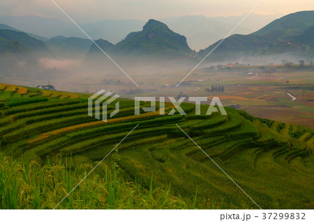 Vietnam Tu Le Yen Bai Rice terrace landscape 37299832