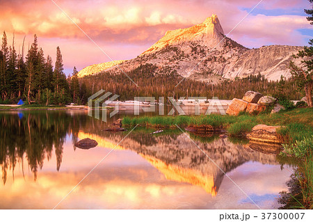 Yosemite National Park Yosemite National Park 37300007