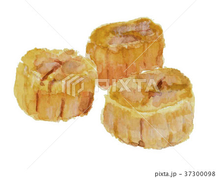 貝柱 干物 貝柱 干物 37300098