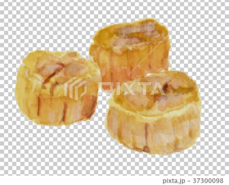 貝柱 干物 貝柱 干物 37300098