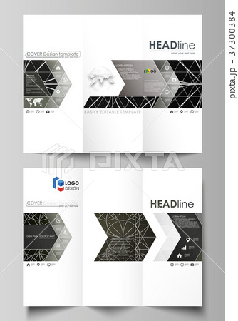 Tri-fold brochure business templates on both sides 37300384