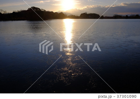 凍る水上池（奈良市佐紀町） 37301090