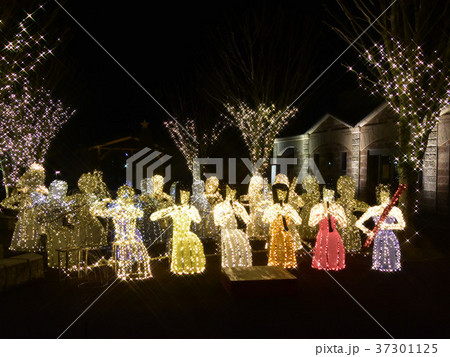 塩谷郡高根沢町 イルミネーション 2017~2018 塩谷郡高根沢町 イルミネーション 2017~2018 37301125