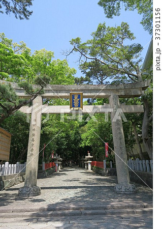 紀州東照宮 37301156