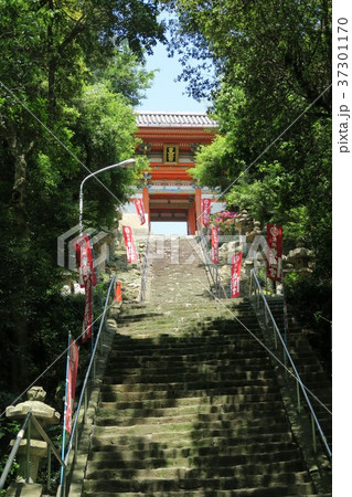 紀州東照宮 37301170