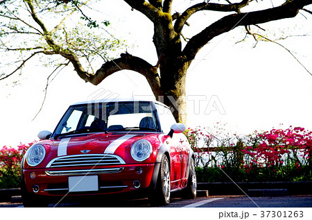 mini cooper !! mini cooper !! 37301263