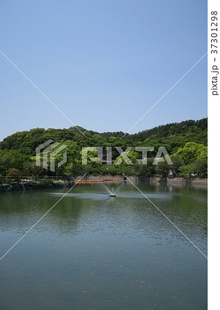 御手洗池 37301298