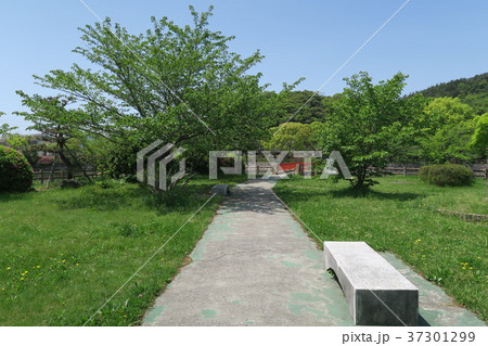 御手洗池公園 御手洗池公園 37301299
