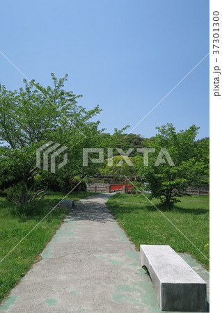 御手洗池公園 37301300