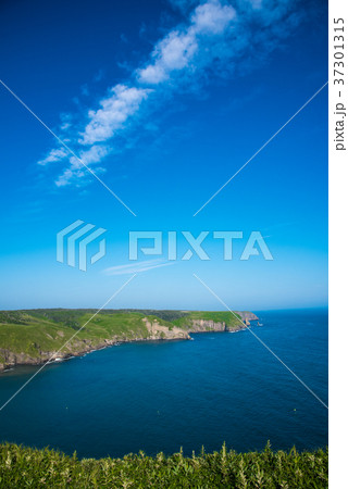 原生花園あやめヶ原 チンベ展望台 37301315