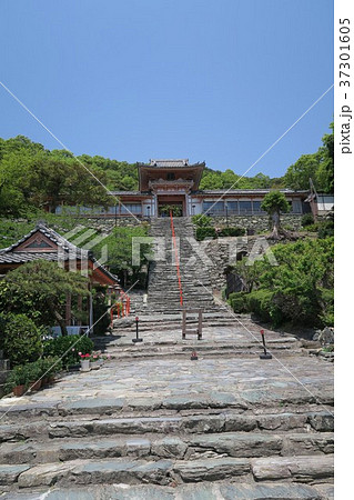 和歌浦天満宮 和歌浦天満宮 37301605
