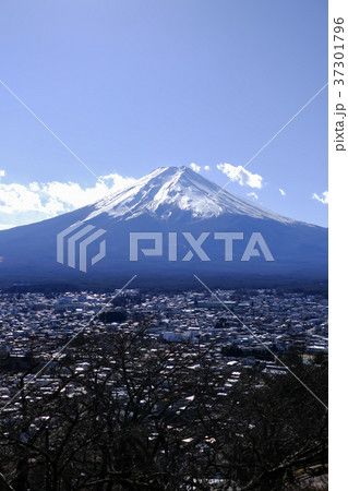 新倉山からの富士山(1月中旬) 新倉山からの富士山(1月中旬) 37301796