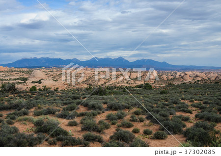 Arches National Park 37302085