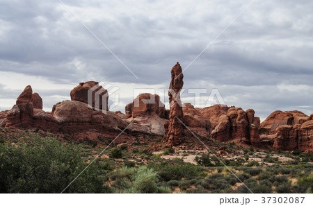 Arches National Park 37302087