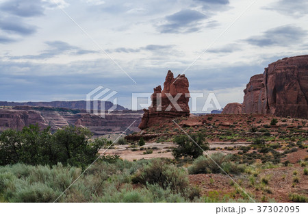 Arches National Park 37302095