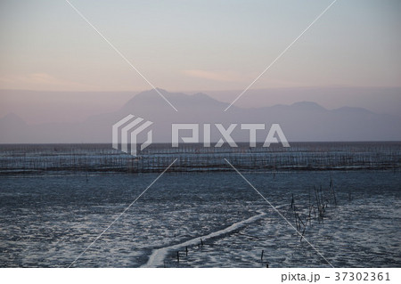 有明海宝の海 有明海宝の海 37302361