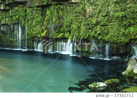 雄川の滝　鹿児島旅行　大隅半島　西郷どん　水イメージ 37302711
