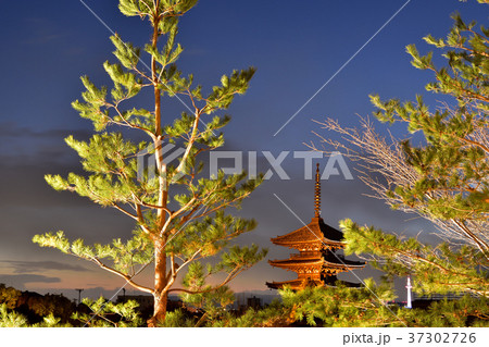 京都東山・八坂の塔の夜景 京都東山・八坂の塔の夜景 37302726