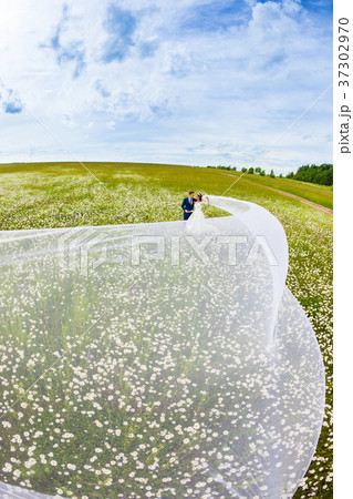 Newlyweds with very long bridal veil 37302970