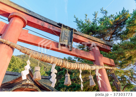 朝日に照らされた白髭神社 37303773