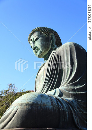鎌倉の大仏 37303856