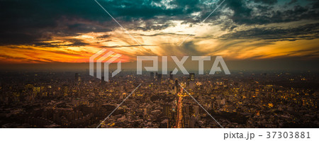 Tokyo sunset aerial panoramic view Tokyo sunset aerial panoramic view 37303881