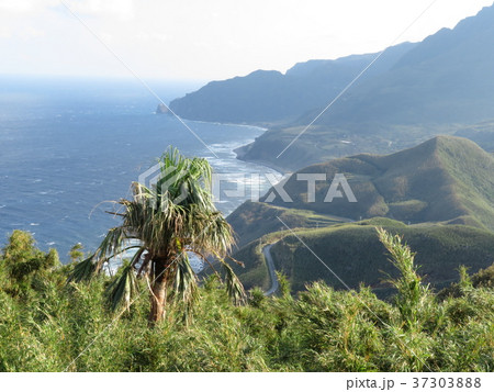 トカラ列島口之島 トカラ列島口之島 37303888