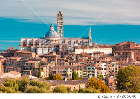 Siena Cathedral in the sunny day, Tuscany, Italy 37305640