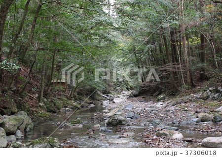 瀧原宮の御手洗場 37306018