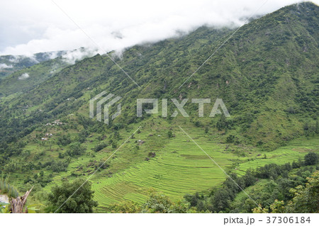 ネパール　アンナプルナ　山の風景 37306184