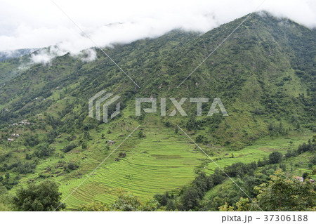 ネパール　アンナプルナ　山の風景 37306188