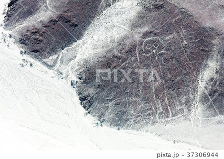 Nazca lines from the aircraft 37306944