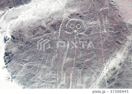 Nazca lines from the aircraft 37306945