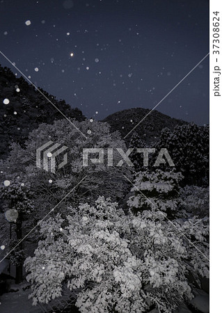 京都　雪景色 37308624