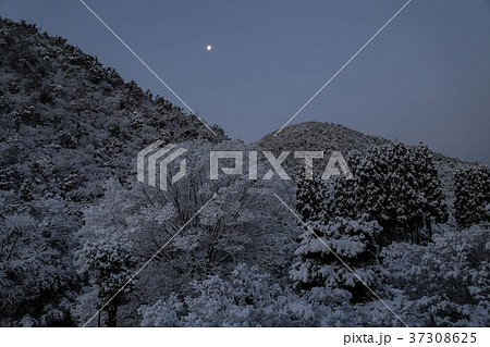 京都　雪景色 37308625