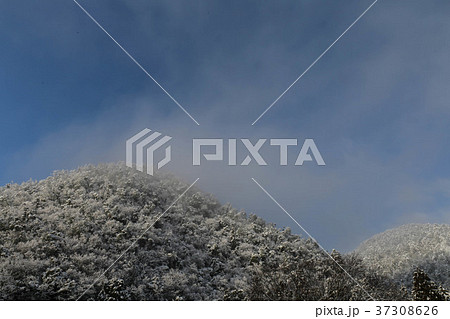 京都　雪景色 37308626