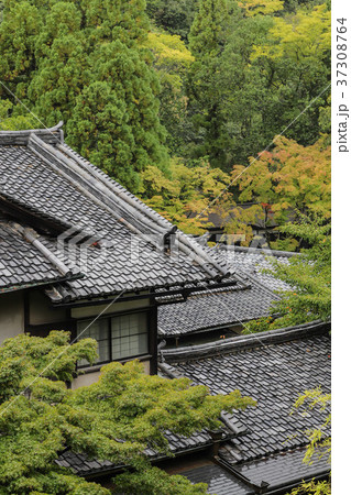 紅葉と日本家屋 37308764