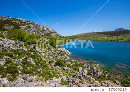 Lake Enol and mountain retreat, the famous lakes Lake Enol and mountain retreat, the famous lakes 37309210