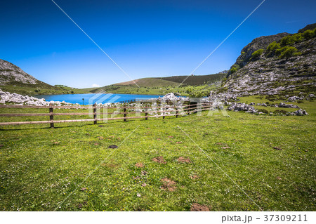 Lake Enol and mountain retreat, the famous lakes Lake Enol and mountain retreat, the famous lakes 37309211