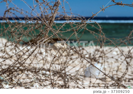 Old barbed wire infront of sea. Wire and blue sky 37309250