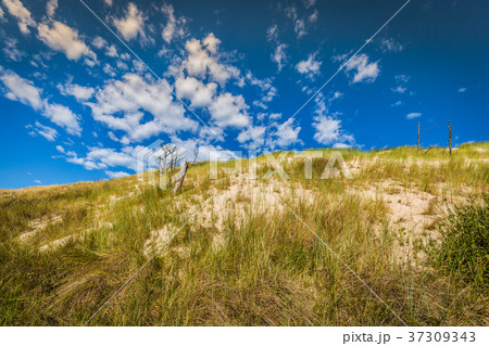 Desert landscape, Slowinski National Park  37309343