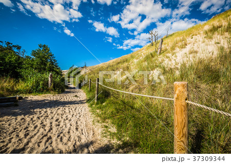 Desert landscape, Slowinski National Park  37309344