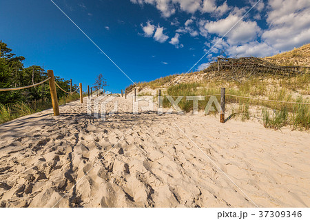 Desert landscape, Slowinski National Park  37309346