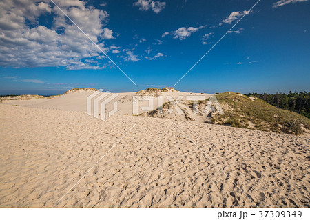 Desert landscape, Slowinski National Park  37309349