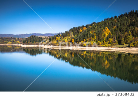 Autumn forest reflected in water. Colorful Autumn forest reflected in water. Colorful 37309432