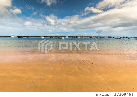 Beach Teresitas in Tenerife - Canary Islands Spain Beach Teresitas in Tenerife - Canary Islands Spain 37309463