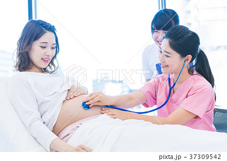 医療スタッフ、妊婦さん、触診、お腹 医療スタッフ、妊婦さん、触診、お腹 37309542
