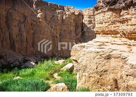Mountain oasis Tamerza in Tunisia near the borde Mountain oasis Tamerza in Tunisia near the borde 37309793